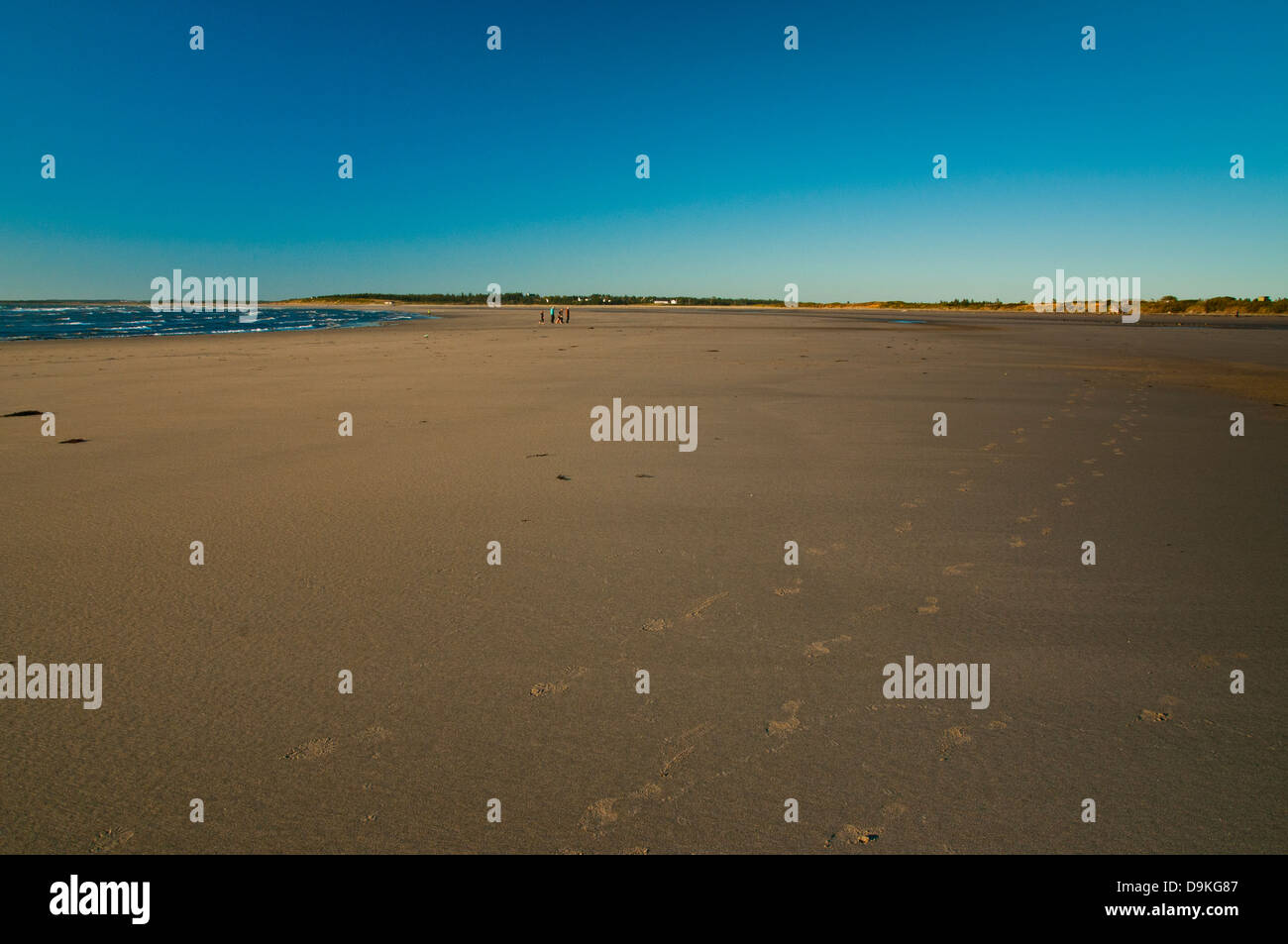 Nova Scotia`s expansive and uncrowded public access beaches,with distant people for scale Stock Photo